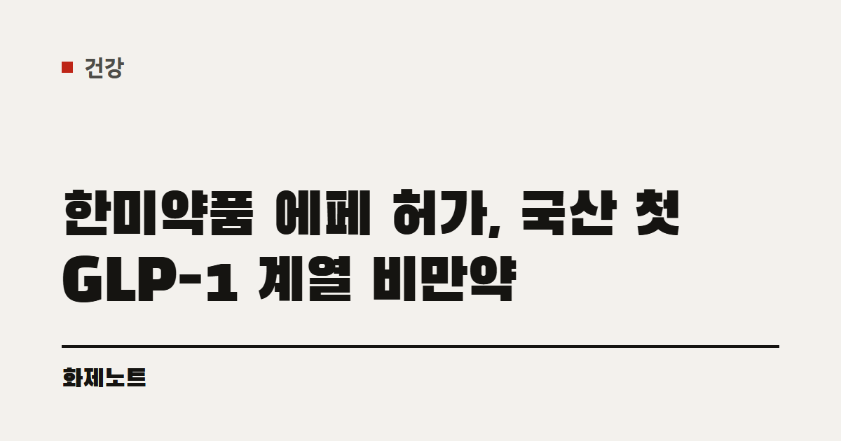 건강 분류 표시와 한미약품 에페 허가 글 제목이 적힌 화제노트 글자 카드입니다.